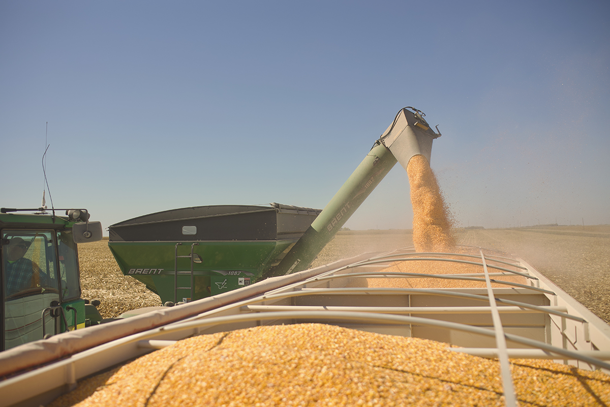 Copperhead Ag Image